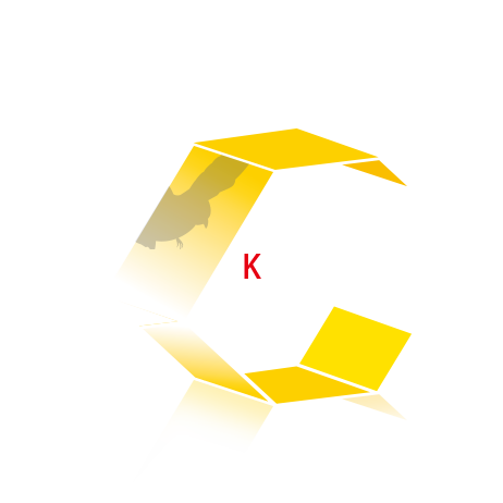 KOHGAMI Corp